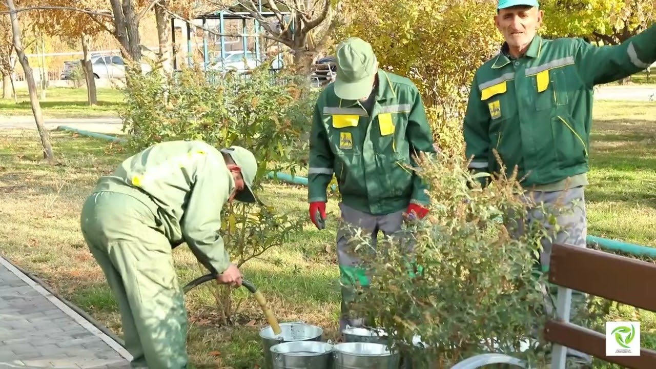 Երևանի Մալաթիա-Սեբաստիա վարչական շրջանի պաշտոնատար անձանց կաշառքի գործով կալանավորում